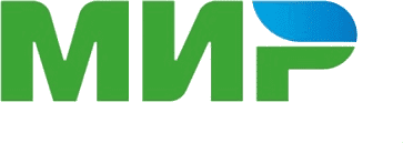 Оплата картой МИР